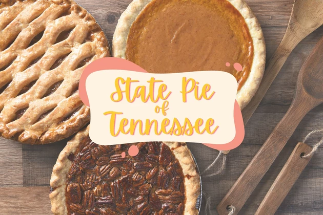 attachment-state pie of tennessee