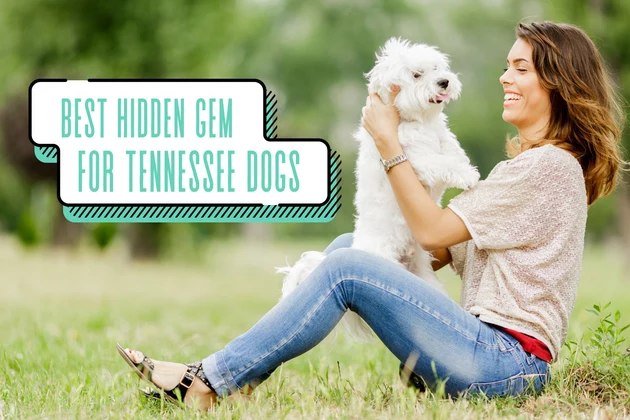 attachment-Tennessee Dog Parks
