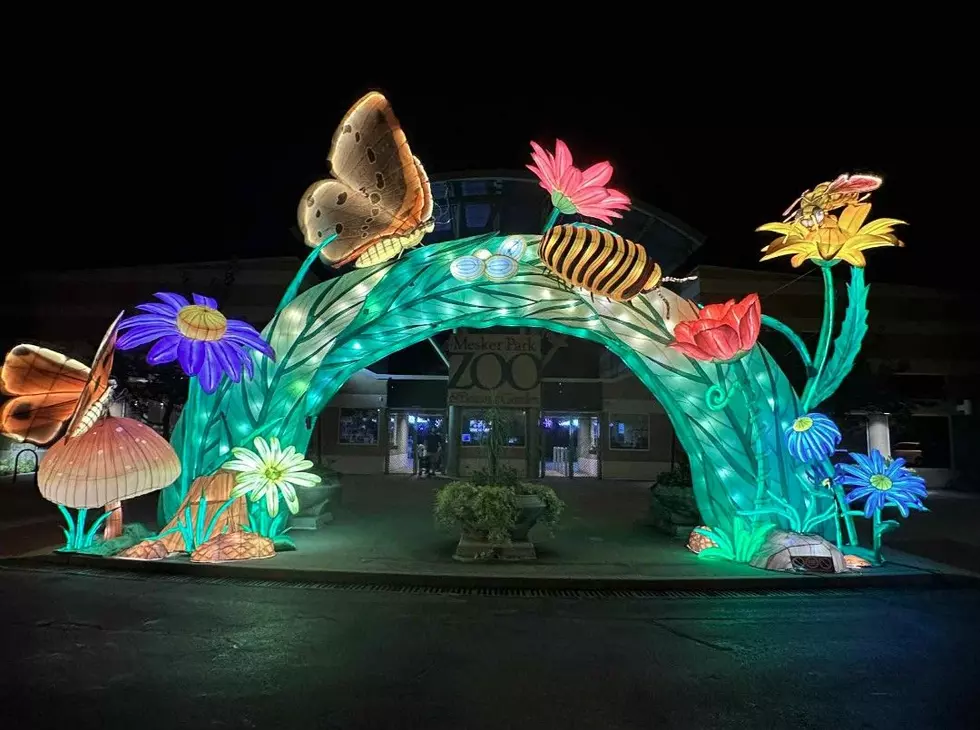 A Sneak Peek of Mesker Park Zoo’s Wild Summer Lights