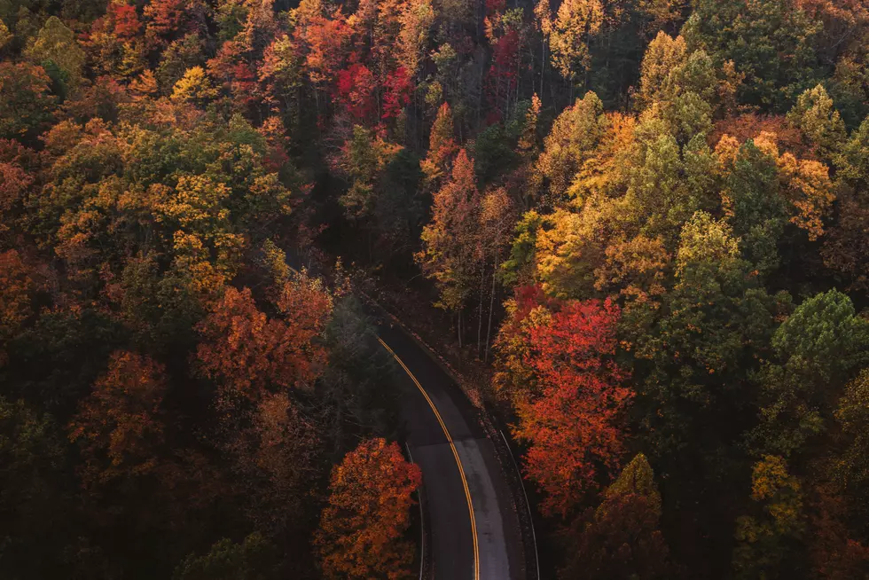 attachment-chad-madden-cPa-7yByq3o-unsplash
