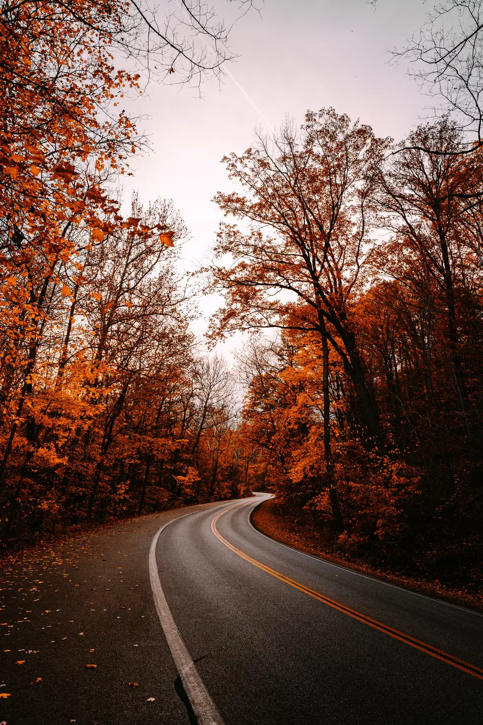 attachment-joe-caione-xe0CDnPI6wU-unsplash