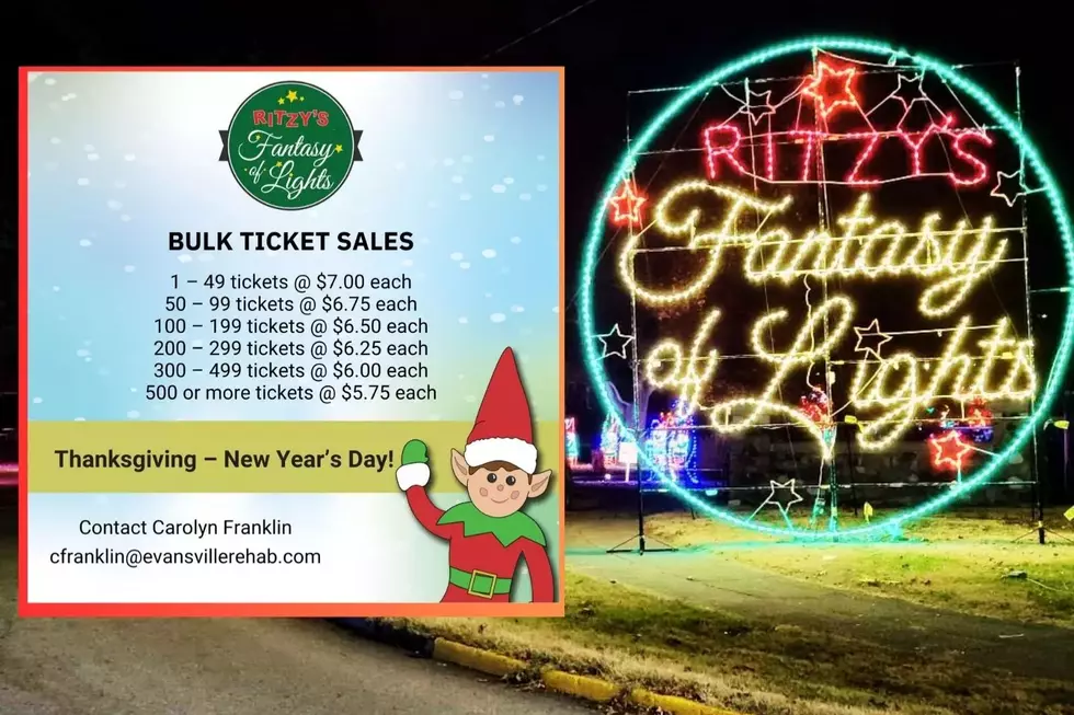 attachment-Ritzy's Fantasy of Lights (1)