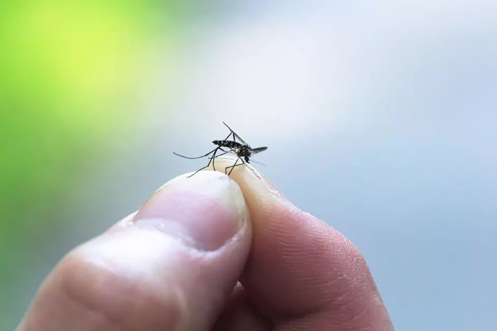 First Human West Nile Virus Case of 2025 Reported in Kentucky