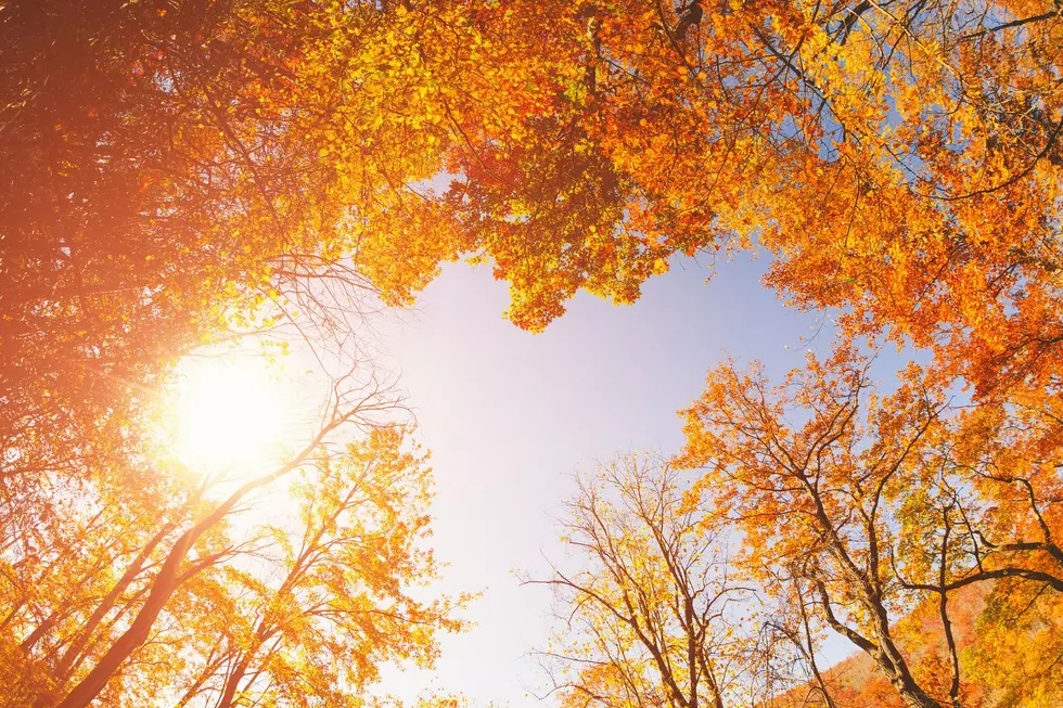 Are Indiana Trees Changing Color Earlier Than Usual This Fall?
