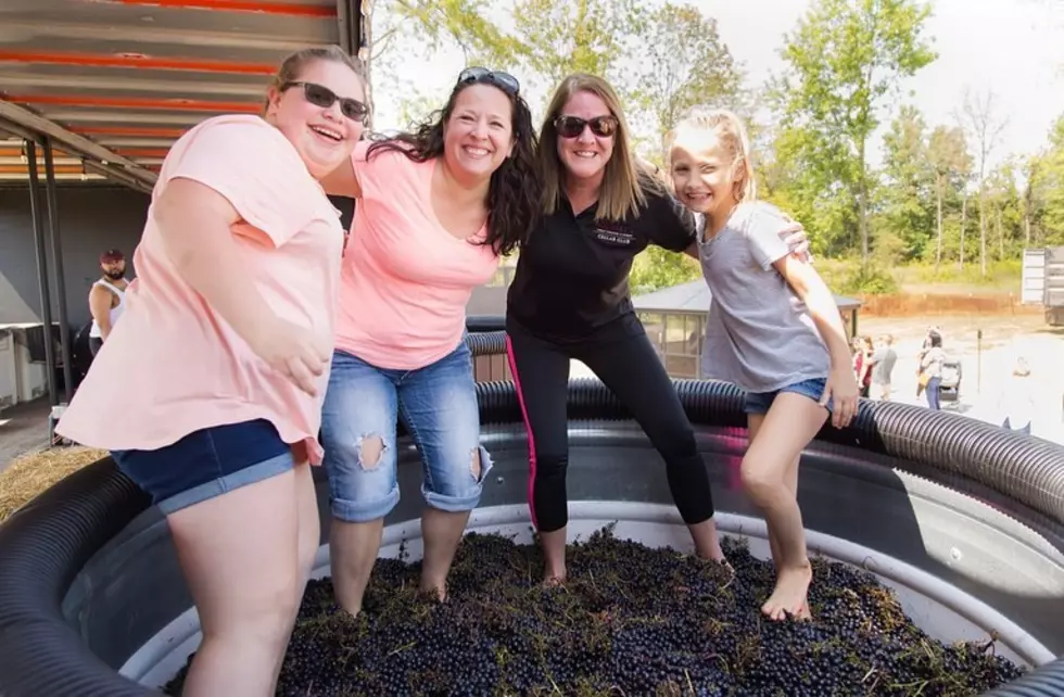 Daniel's Vineyard Facebook